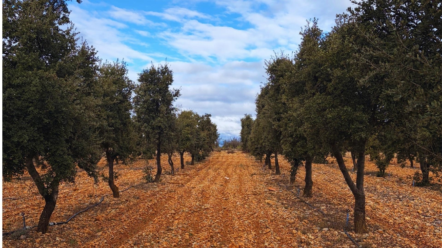  till salu hus Albentosa Gúdar-Javalambre 4