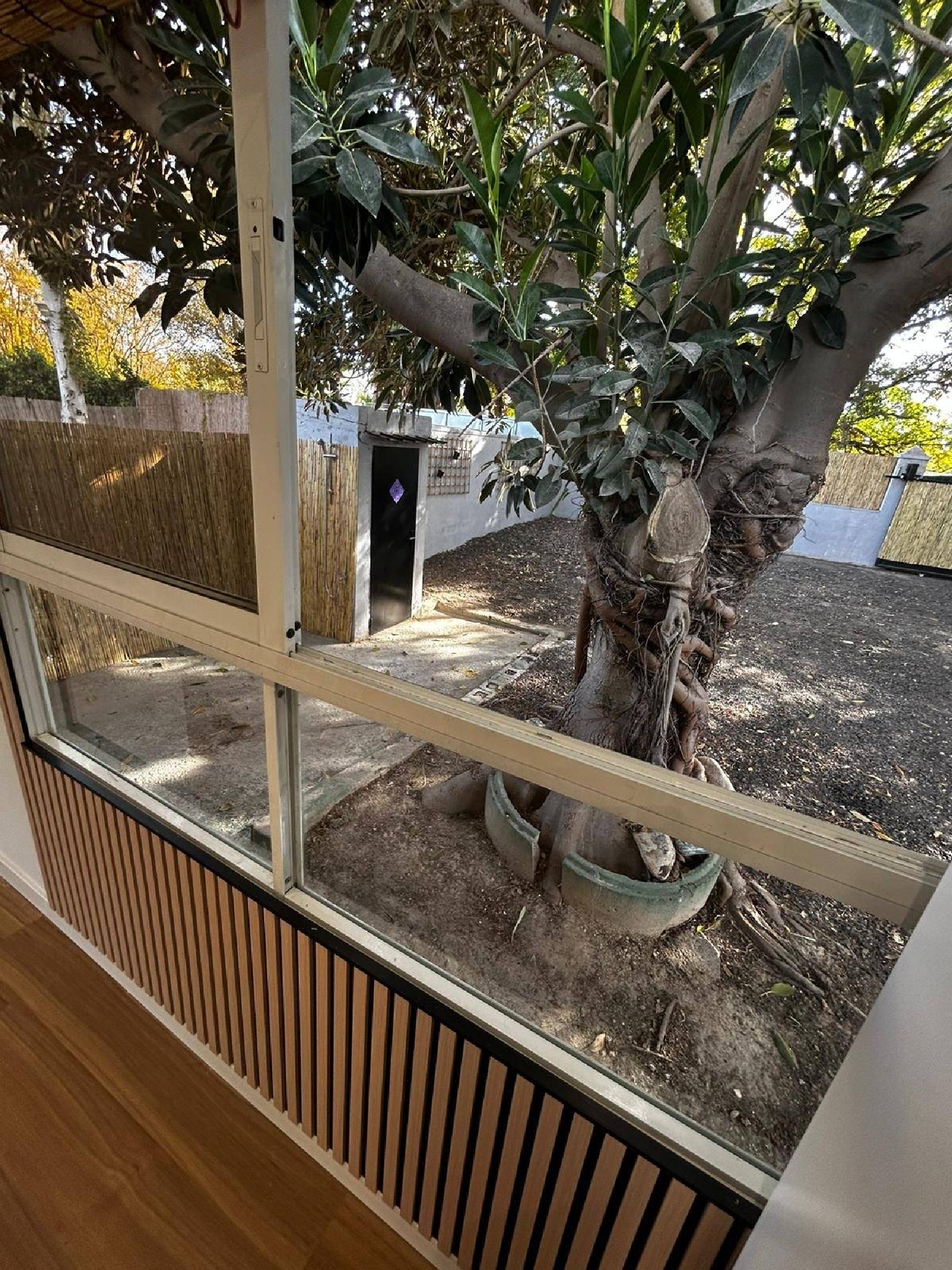  kaufen Haus Alguazas Vega Media Del Segura 1