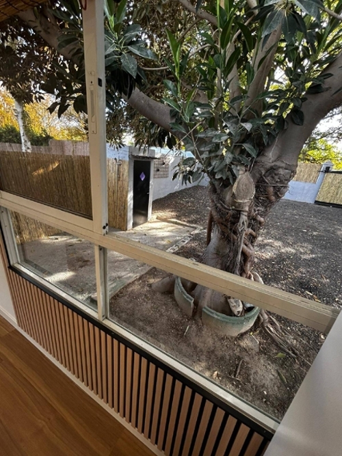 Alguazas Vega Media Del Segura Haus Bild 6346922