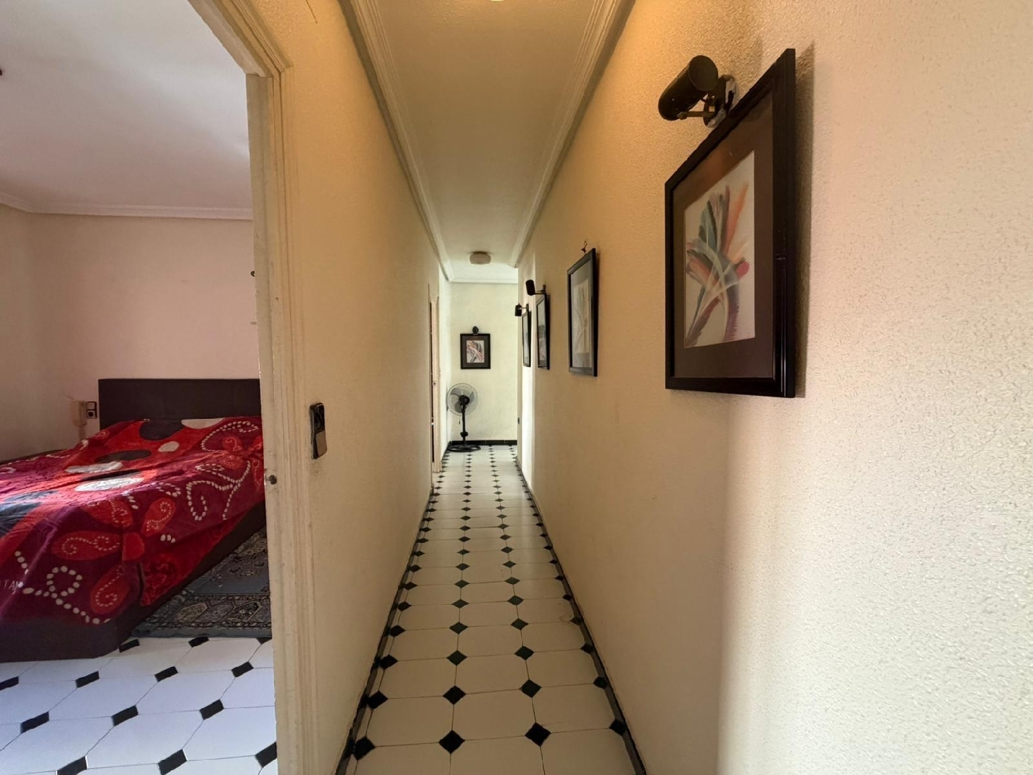  à vendre maison Almoradí Baix Segura 8