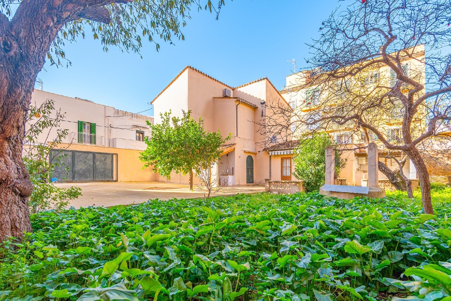  kaufen Haus Andratx Ponent 1