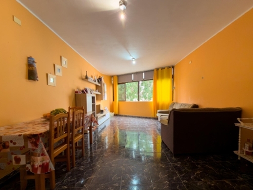 Arafo Zona Sureste Haus Bild 6351196