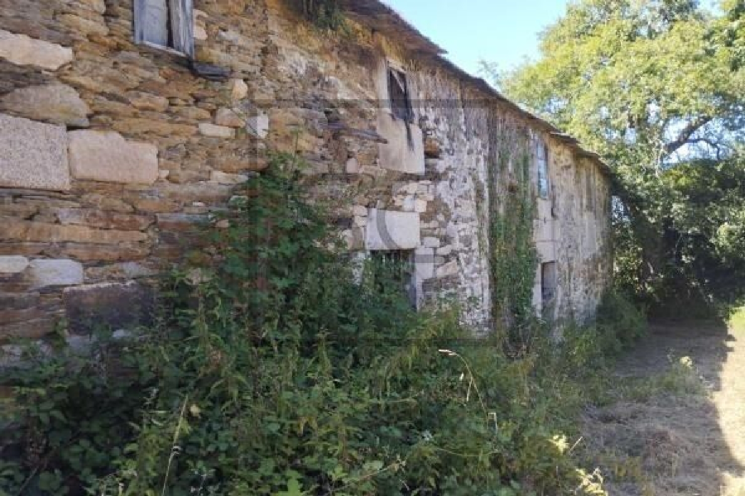  kaufen Haus Begonte Terra Chá 4