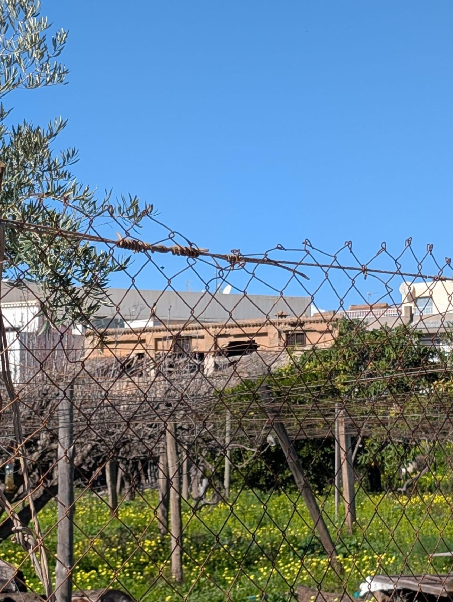  kaufen Haus Berja Poniente Almeriense 6