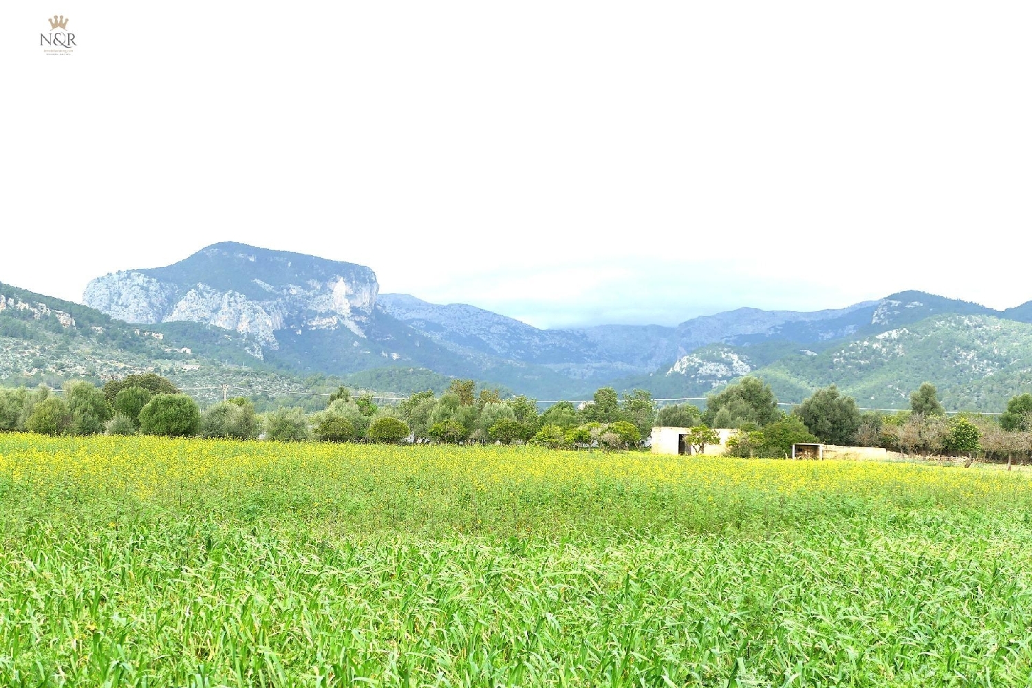 till salu hus Binissalem Raiguer 5