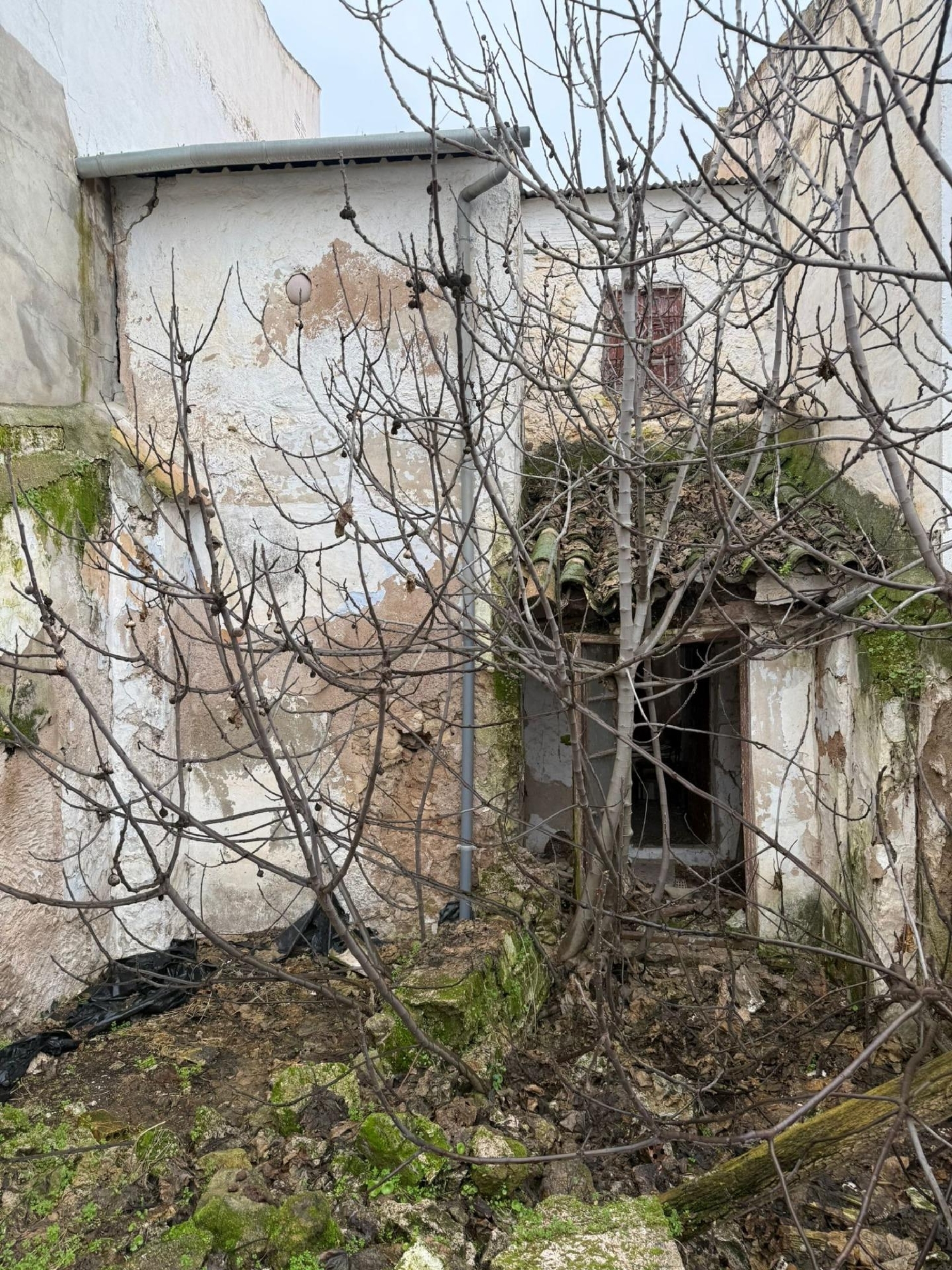  till salu hus Cuevas Bajas Nororma 2