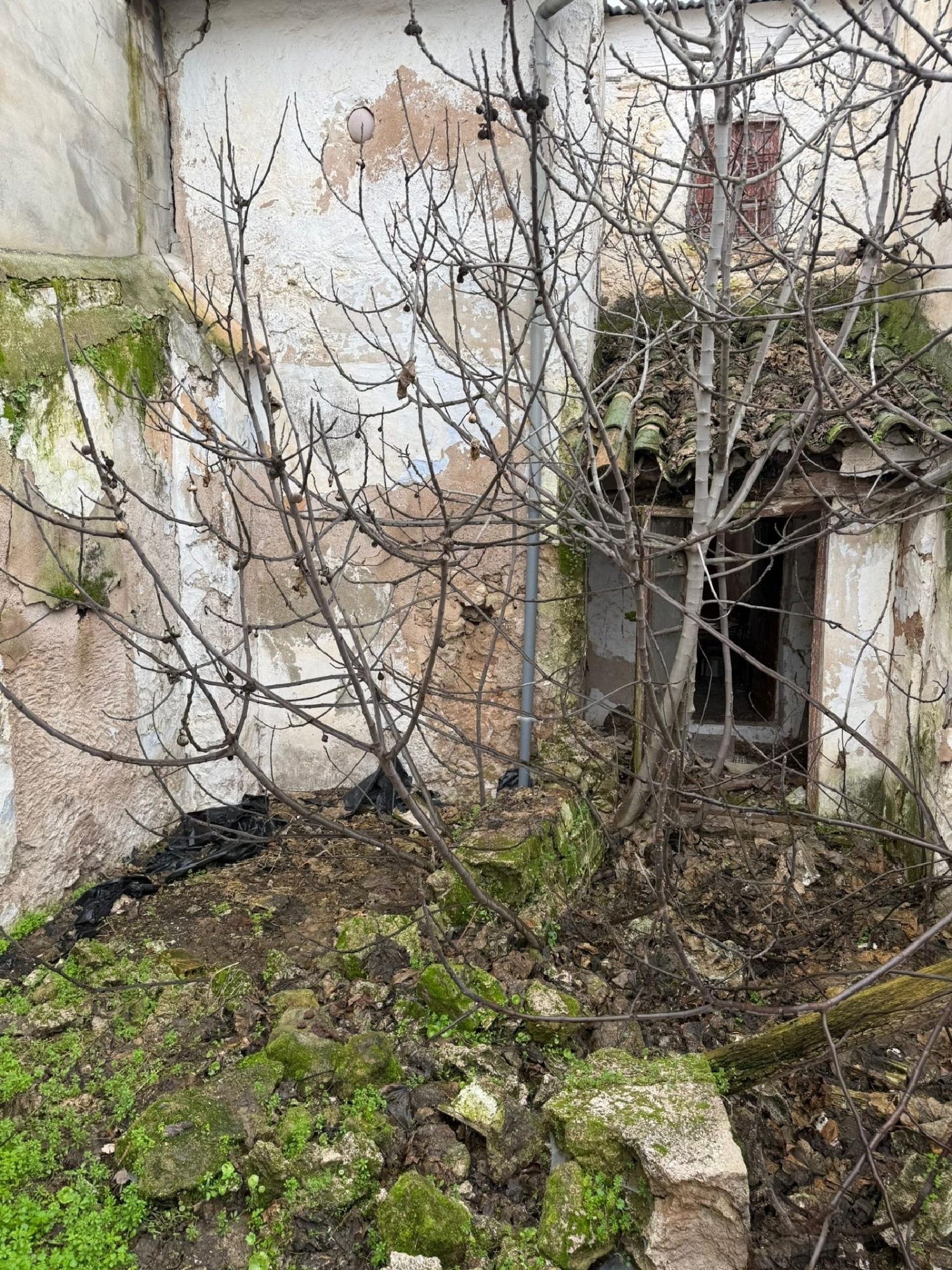  till salu hus Cuevas Bajas Nororma 4