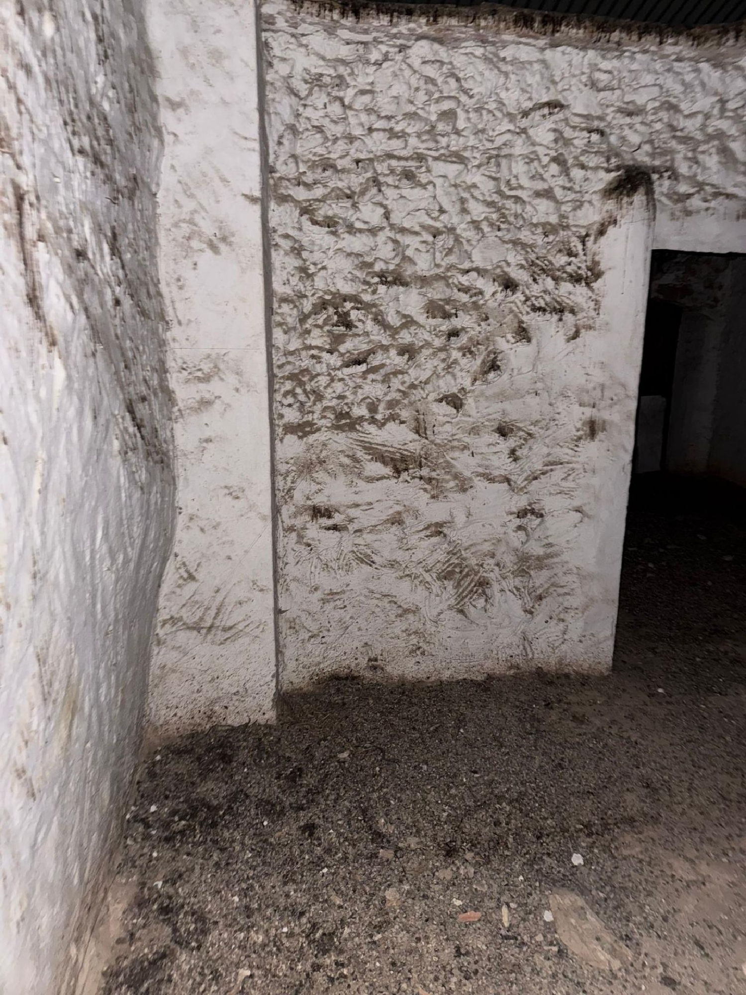  till salu hus Cuevas Bajas Nororma 8