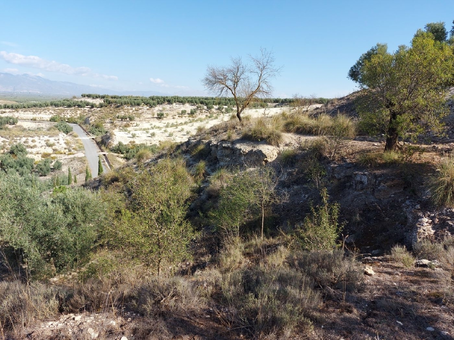  te koop huis Cuevas Del Campo Baza 2