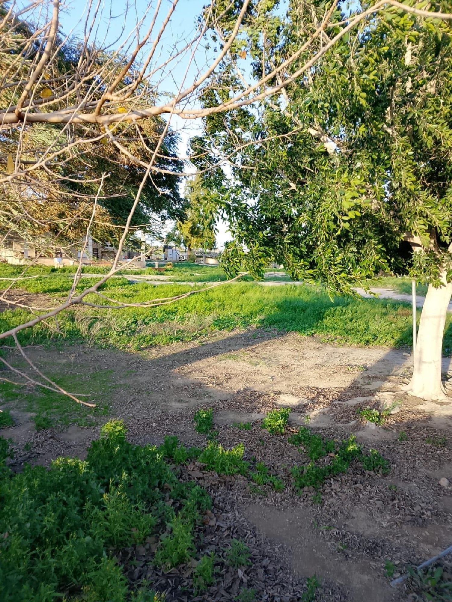  à vendre maison Daya Nueva Baix Segura 2