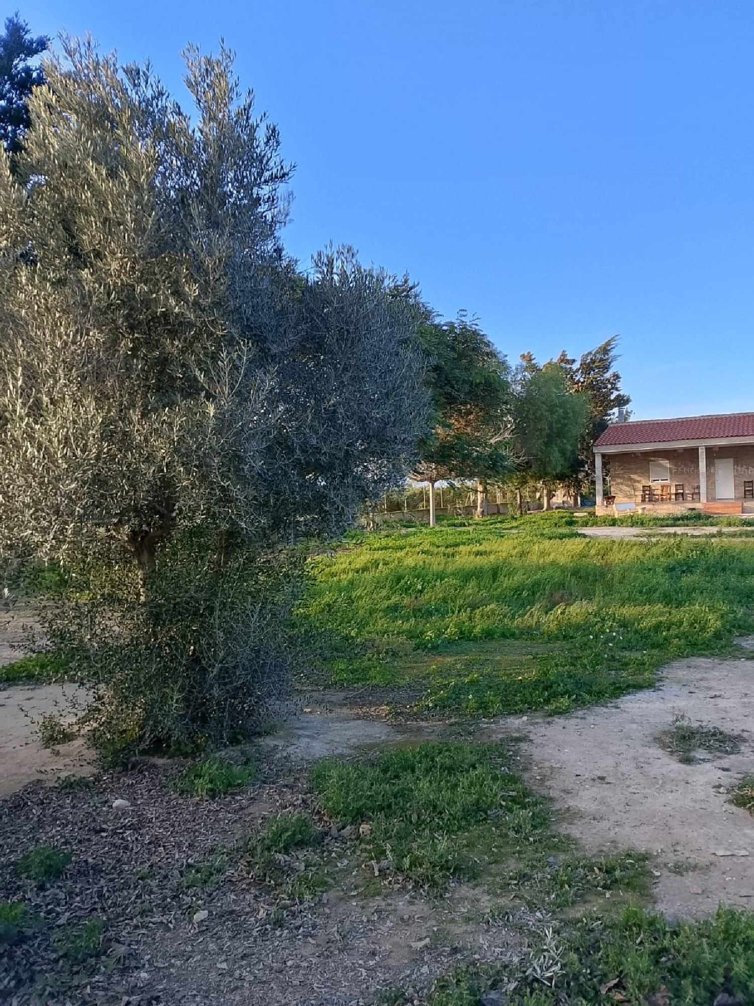  à vendre maison Daya Nueva Baix Segura 4