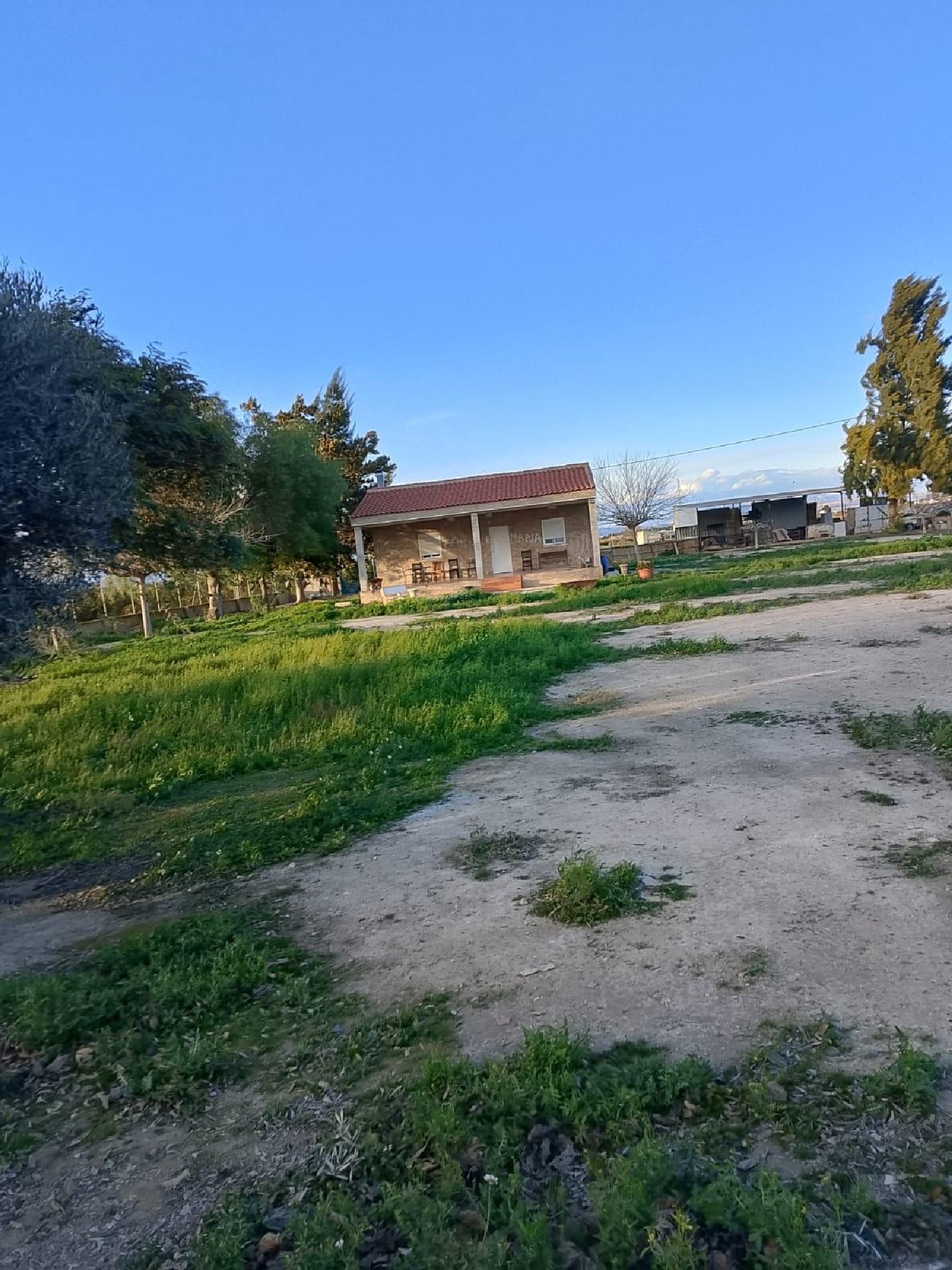  à vendre maison Daya Nueva Baix Segura 3