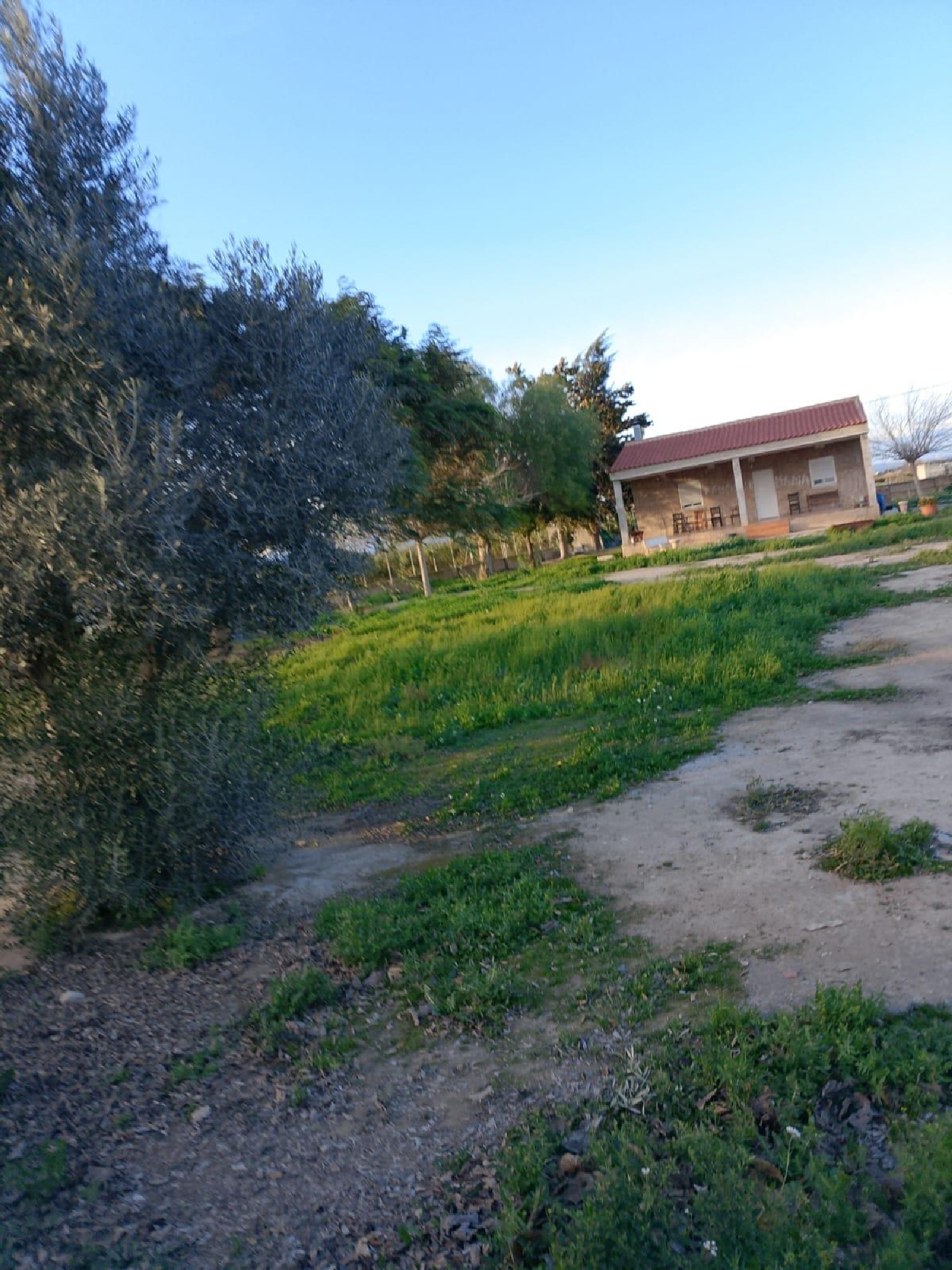  à vendre maison Daya Nueva Baix Segura 5