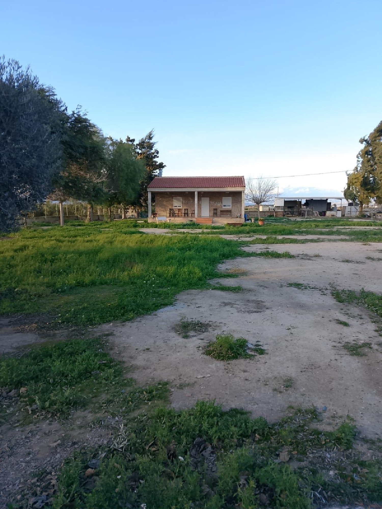  à vendre maison Daya Nueva Baix Segura 1