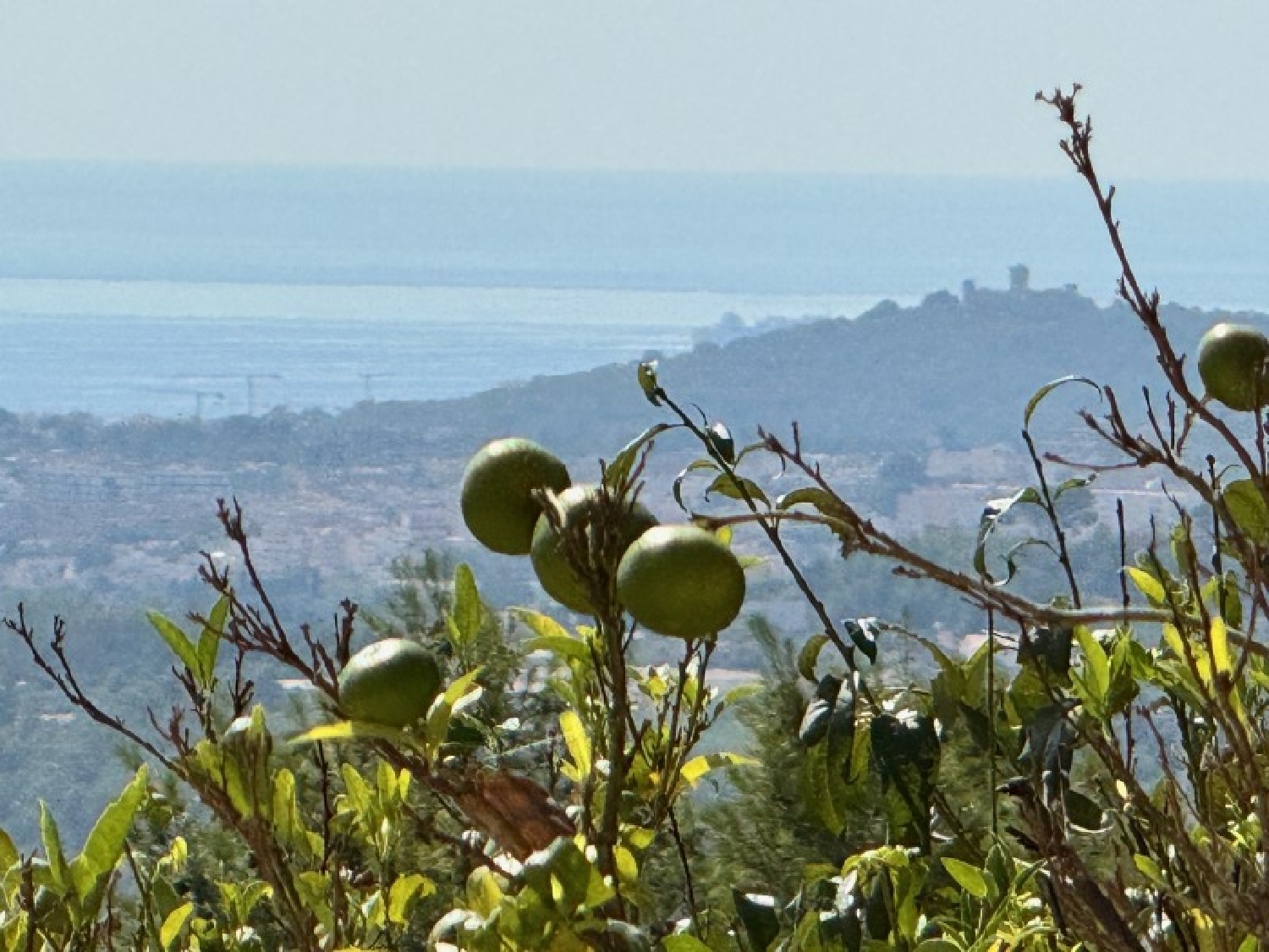  till salu hus Estacio Nord Comtat 6