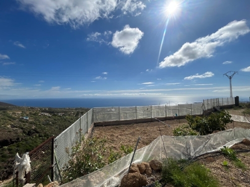 Fasnia Zona Sureste Haus Bild 6345741