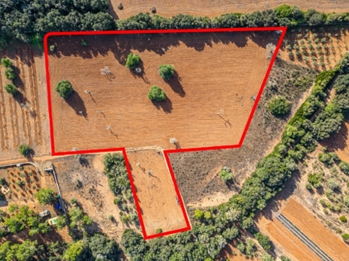 Felanitx Sud casa foto 6344250