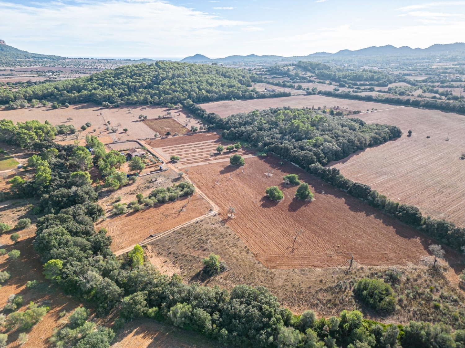  en venta casa Felanitx Sud 4