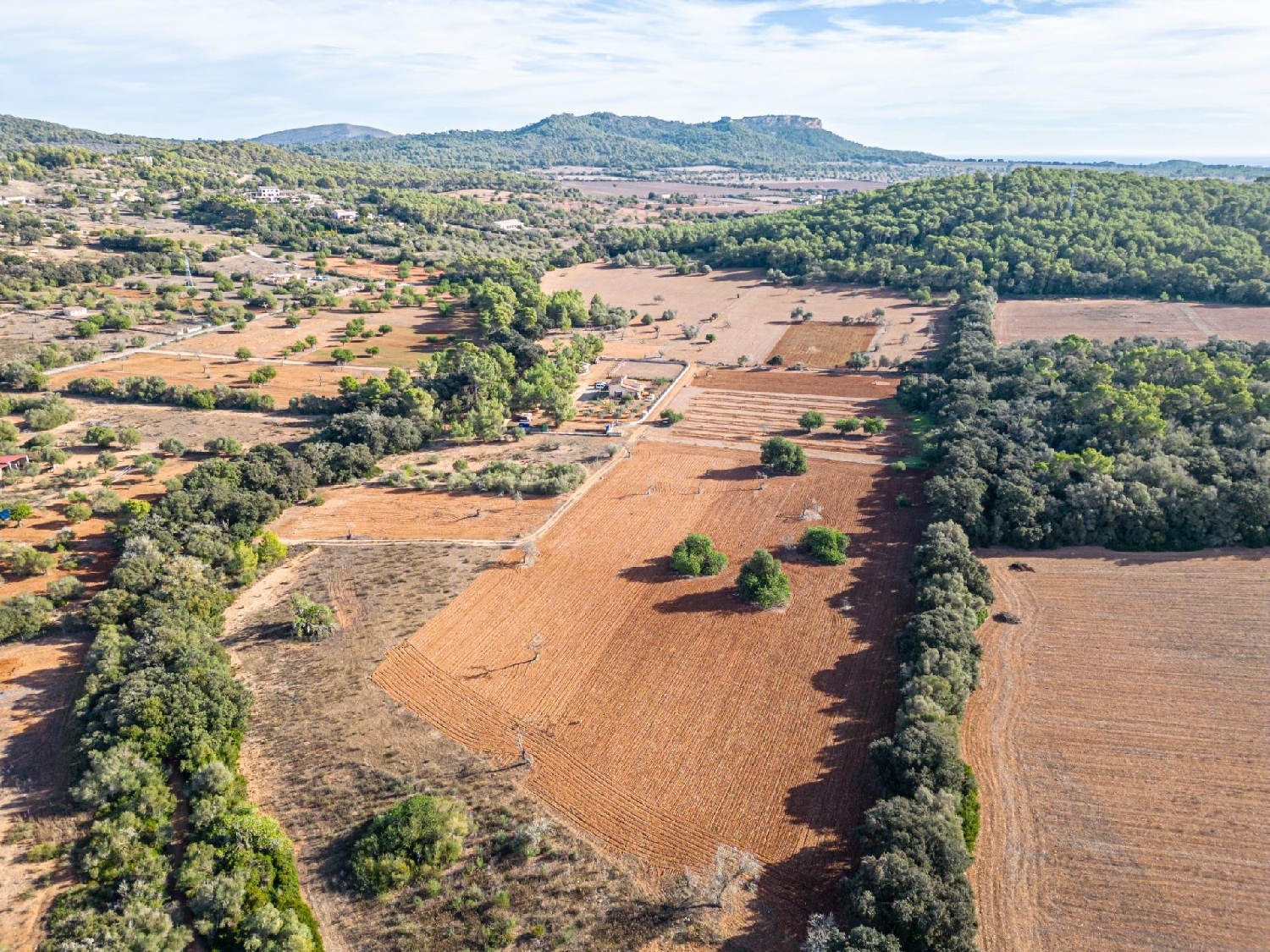  en venta casa Felanitx Sud 3