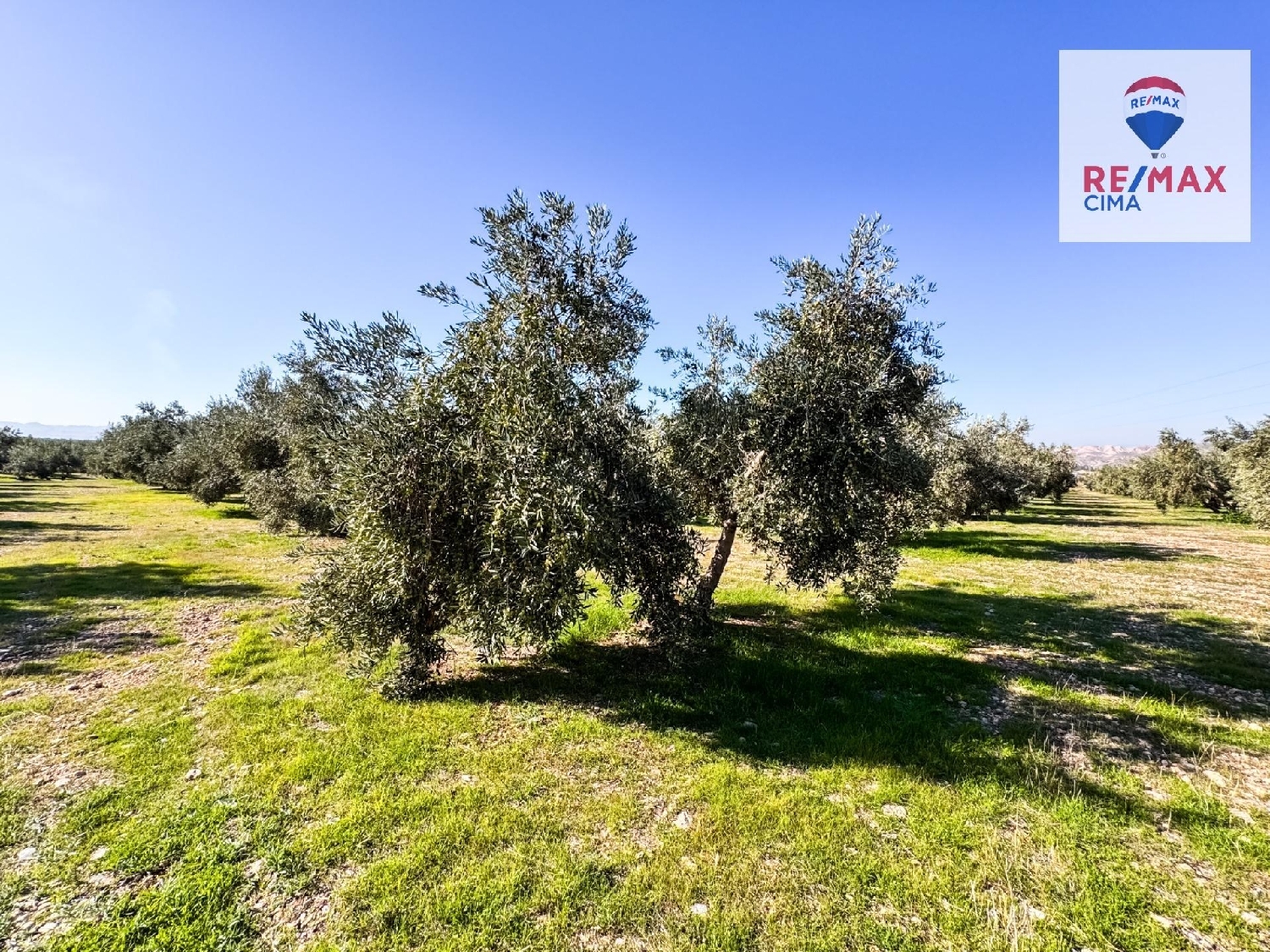  till salu hus Freila Baza 2