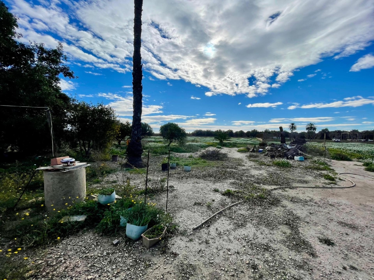  à vendre maison Hoya-Gonzalo Monte Ibérico Almansa 4