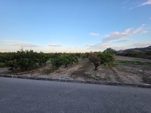 L''alqueria De La Comtessa Safor Haus Bild 6351025