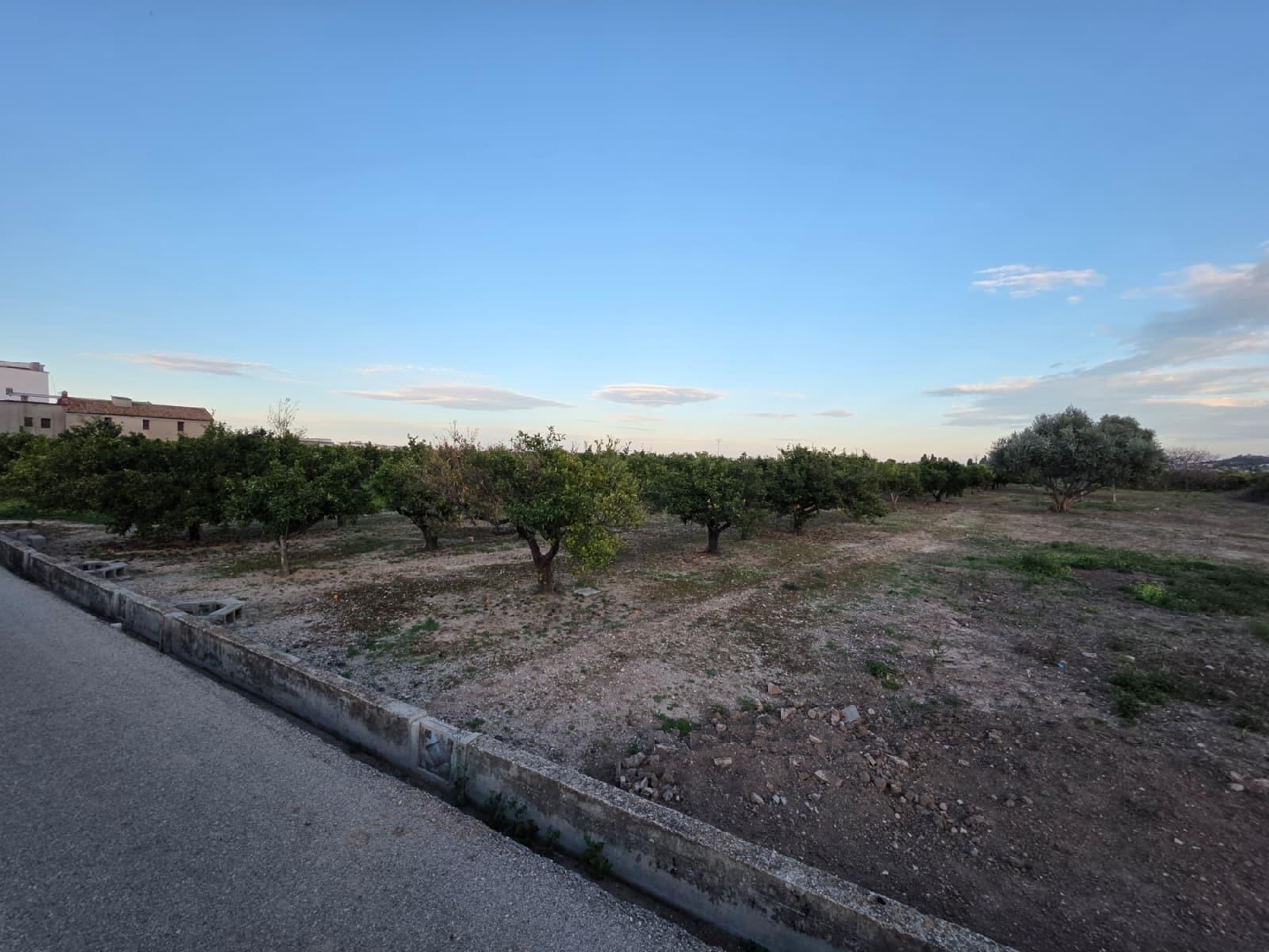 kaufen Haus L'alqueria De La Comtessa Safor 2