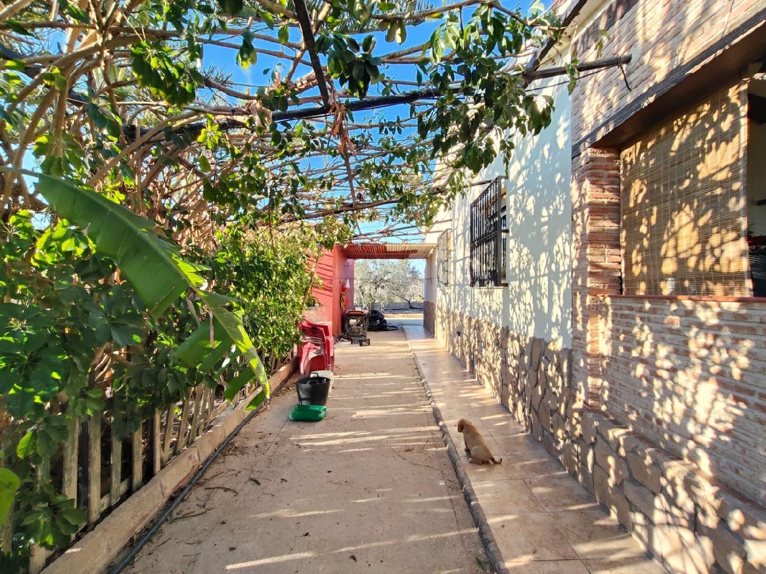  till salu hus Las Bayas Baix Vinalopó 6