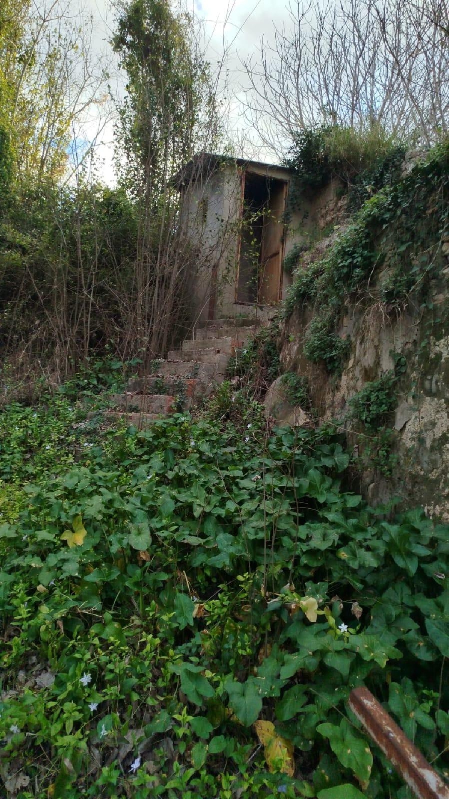  for sale house L'olleria Vall D'albaida 3