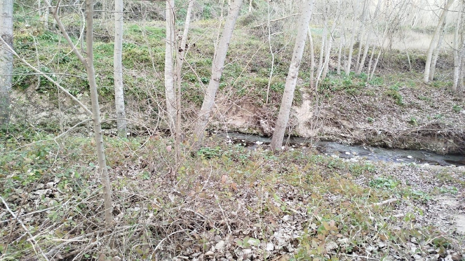  for sale house L'olleria Vall D'albaida 5