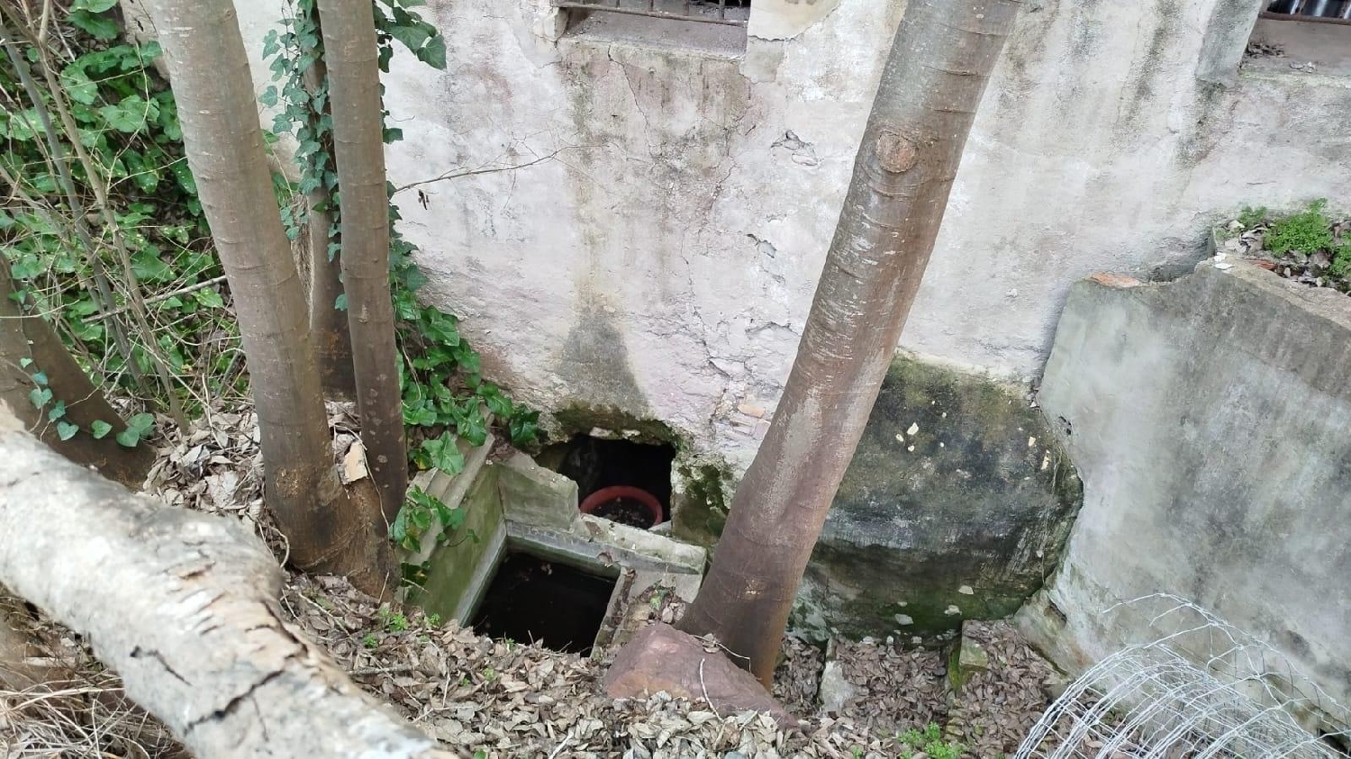  for sale house L'olleria Vall D'albaida 2