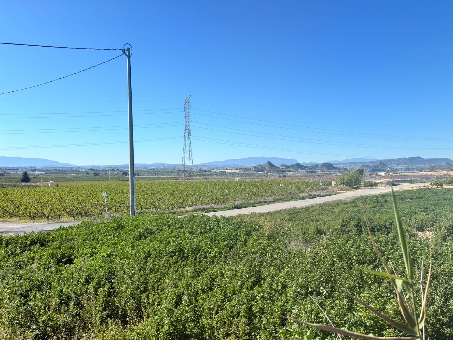 kaufen Haus Molina De Segura Vega Media Del Segura 8