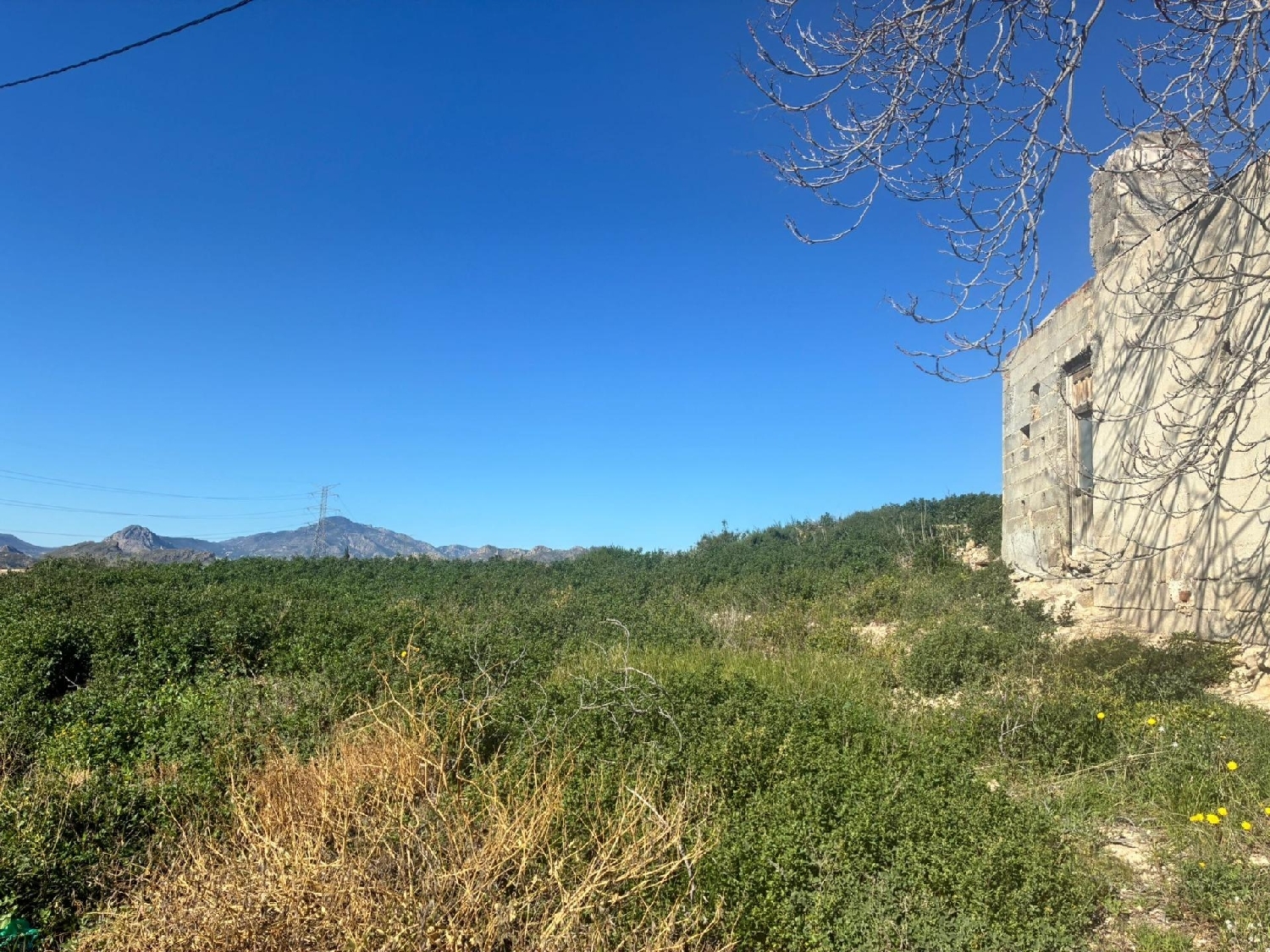 kaufen Haus Molina De Segura Vega Media Del Segura 2