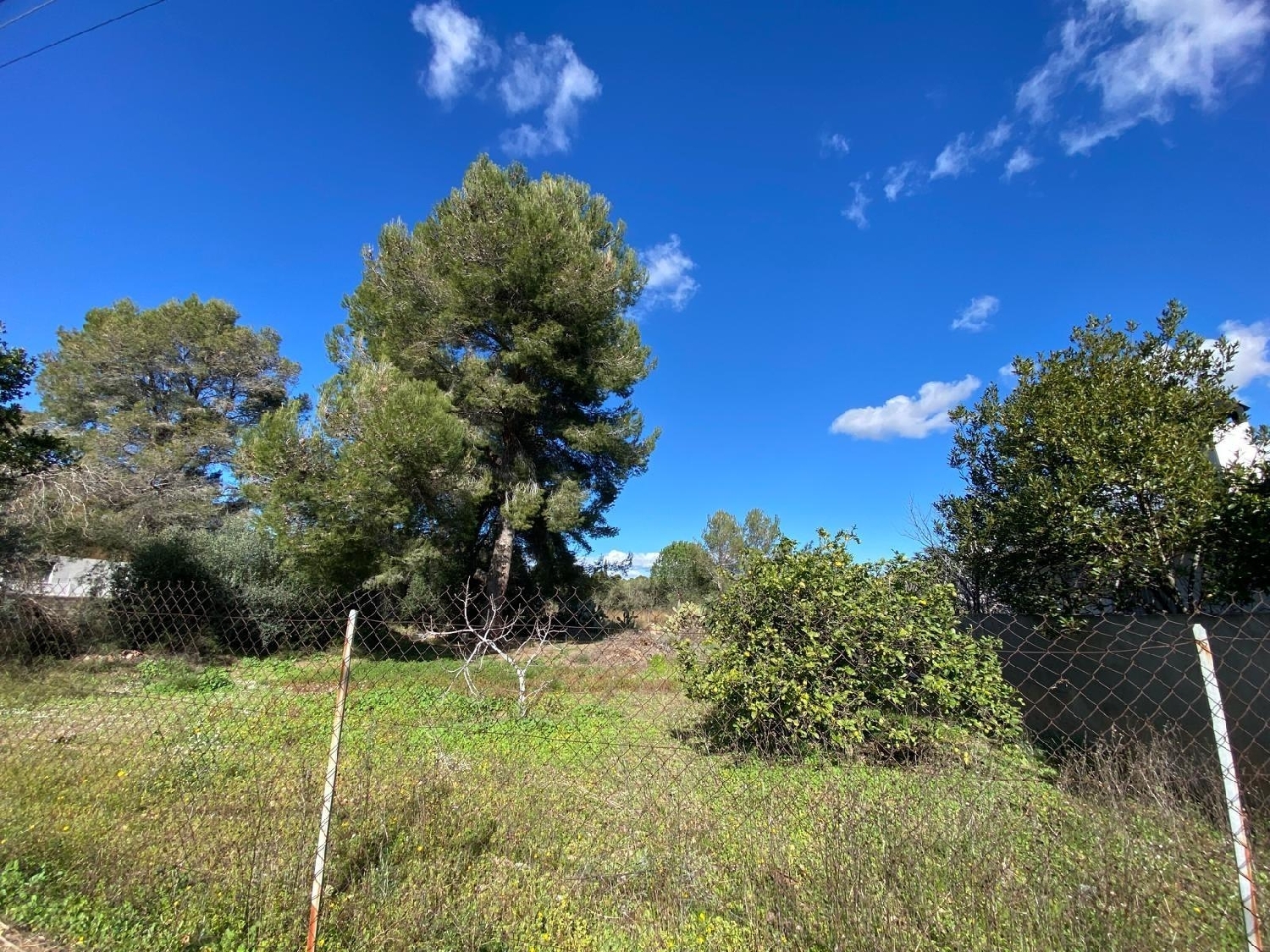  till salu hus Mont-Roig Del Camp Baix Camp 4