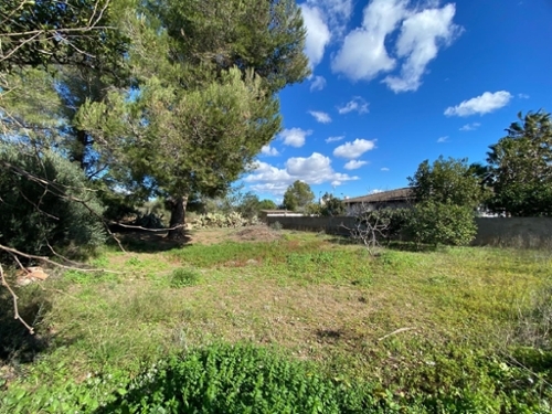 Mont-Roig Del Camp Baix Camp hus foto 6350979