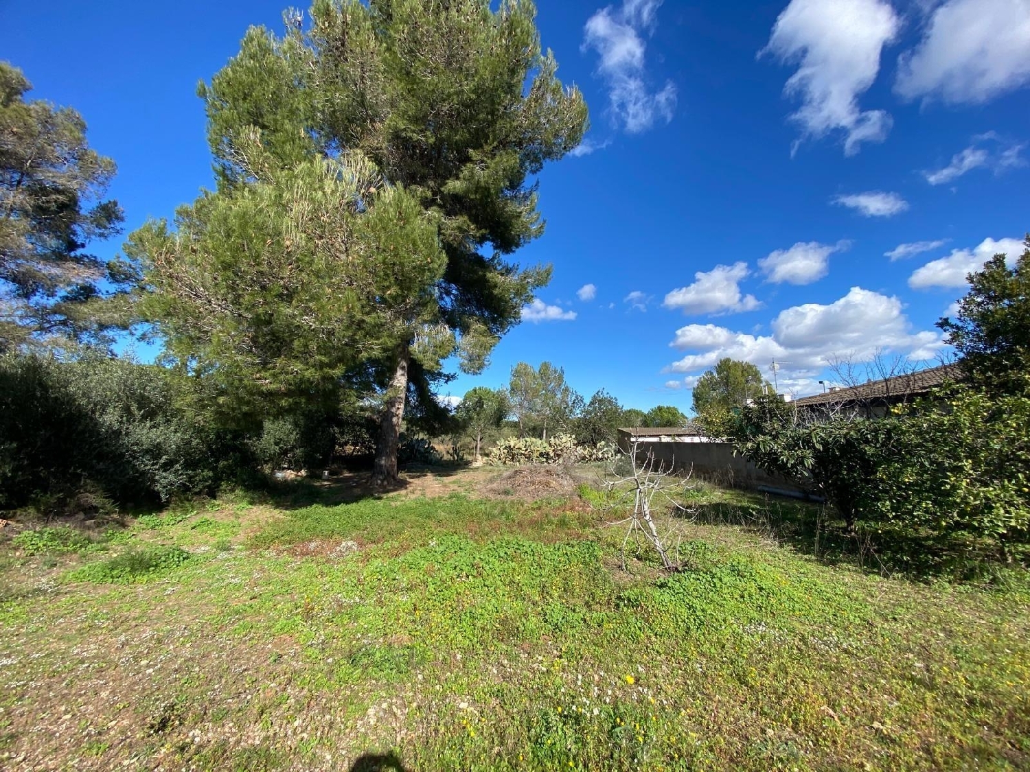  till salu hus Mont-Roig Del Camp Baix Camp 5