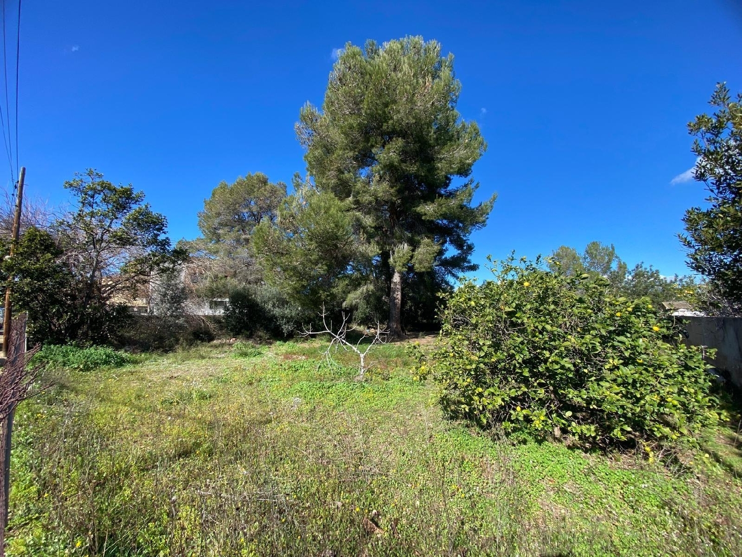  till salu hus Mont-Roig Del Camp Baix Camp 3