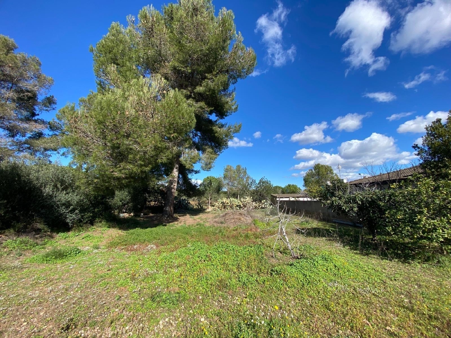  till salu hus Mont-Roig Del Camp Baix Camp 2