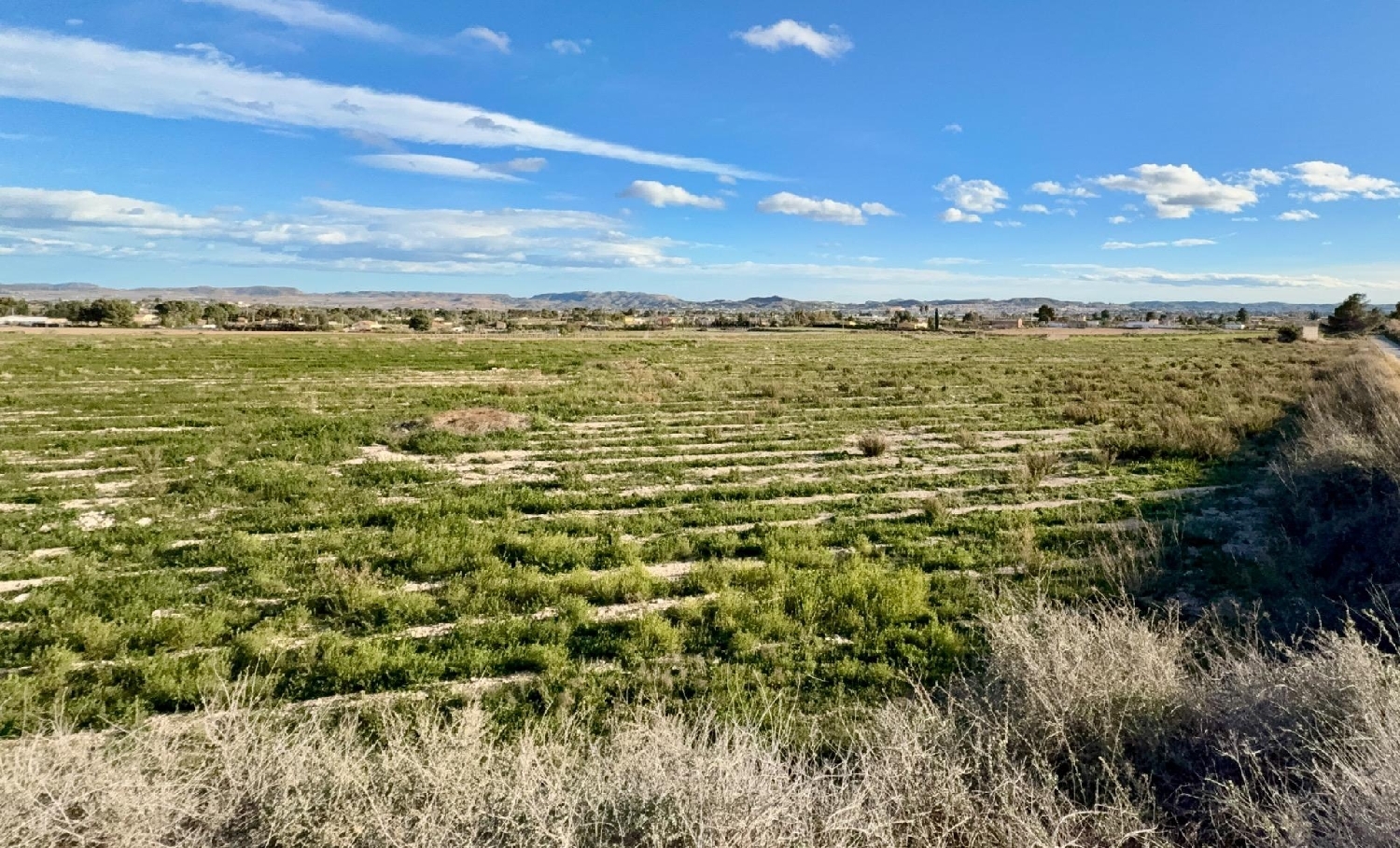  kaufen Haus Novelda Vinalopó Mitjà 4