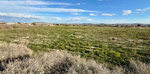 Novelda Vinalopó Mitjà Haus Bild 6345698