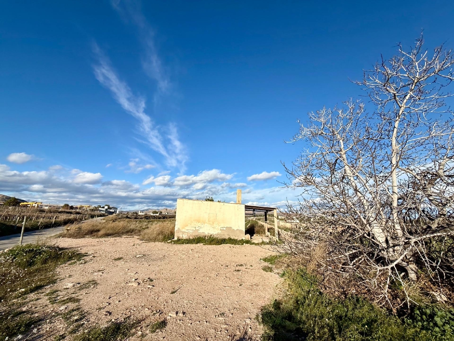  kaufen Haus Novelda Vinalopó Mitjà 7