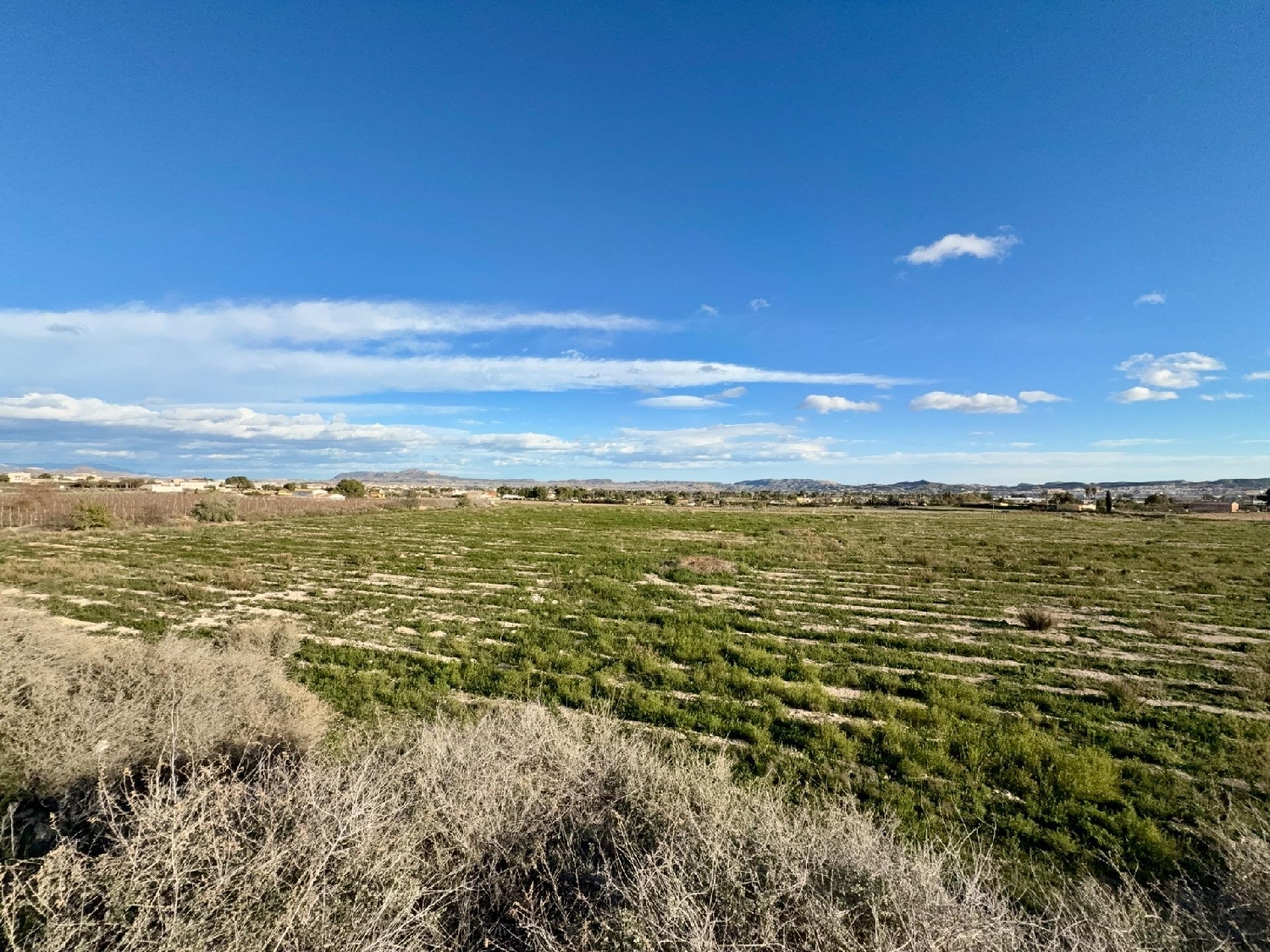  kaufen Haus Novelda Vinalopó Mitjà 5