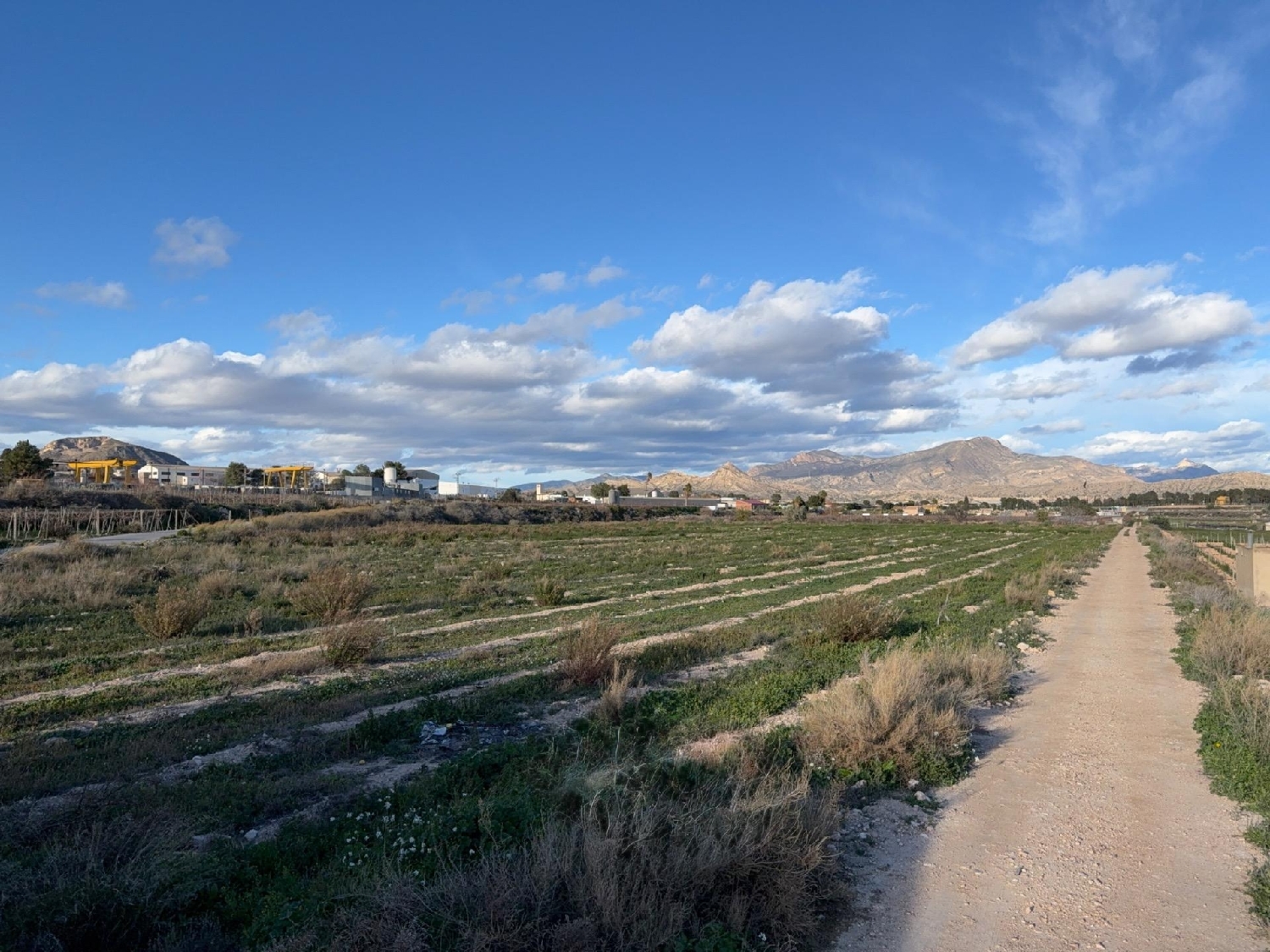  kaufen Haus Novelda Vinalopó Mitjà 2