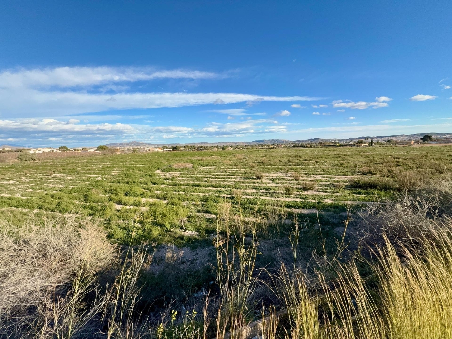  kaufen Haus Novelda Vinalopó Mitjà 4