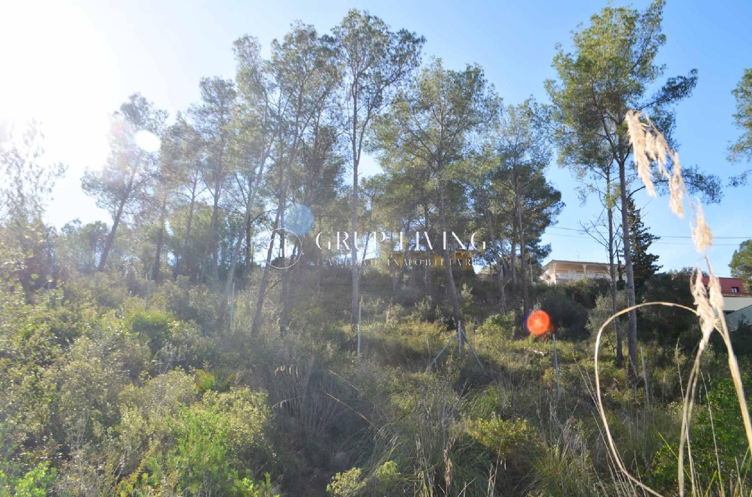  à vendre maison Olivella Garraf 4