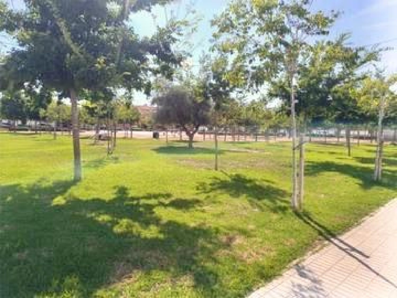  for sale house Orihuela Baix Segura 4