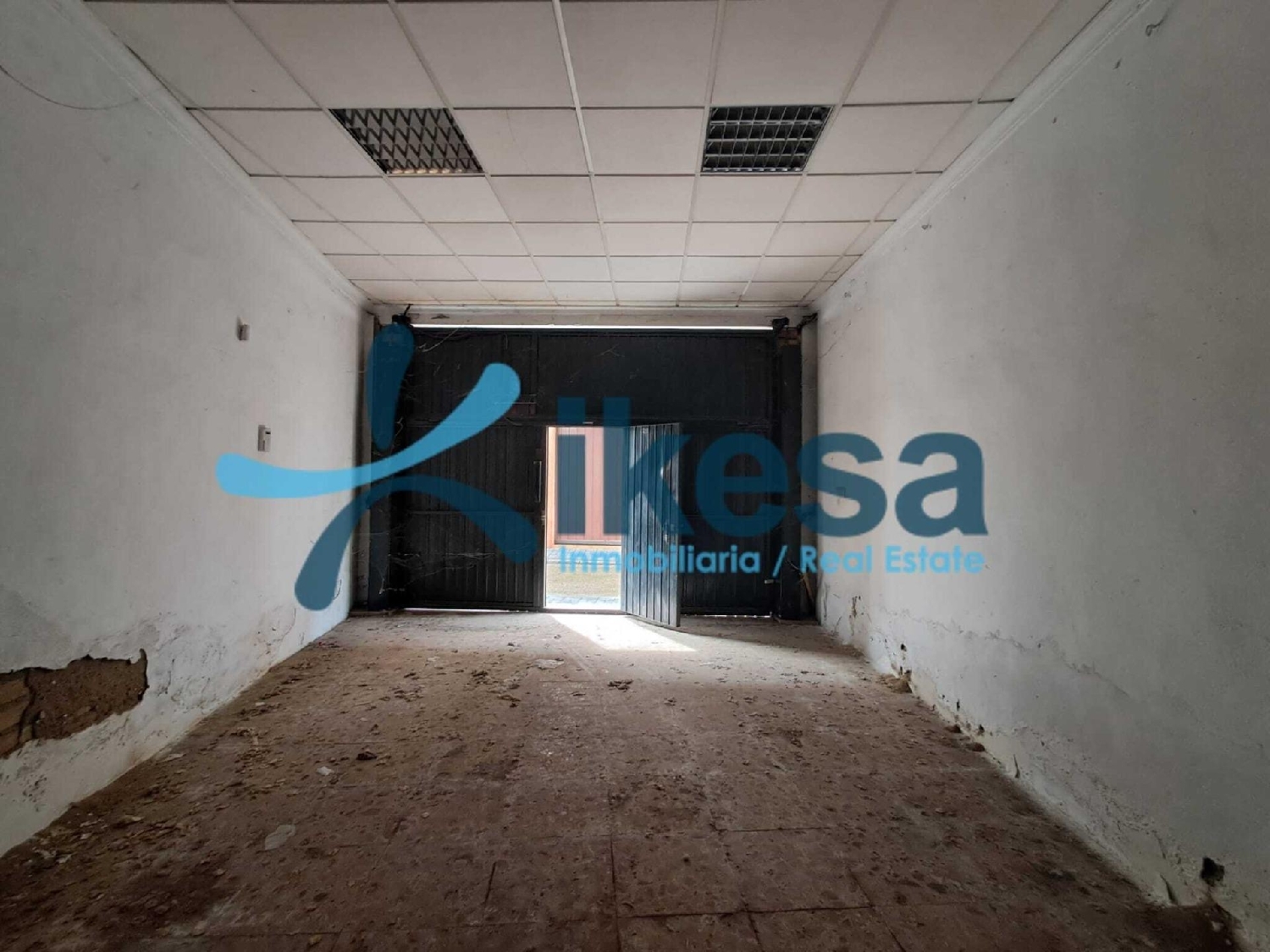  kaufen Haus Palma Del Rio Valle Medio Del Guadalquivir 3