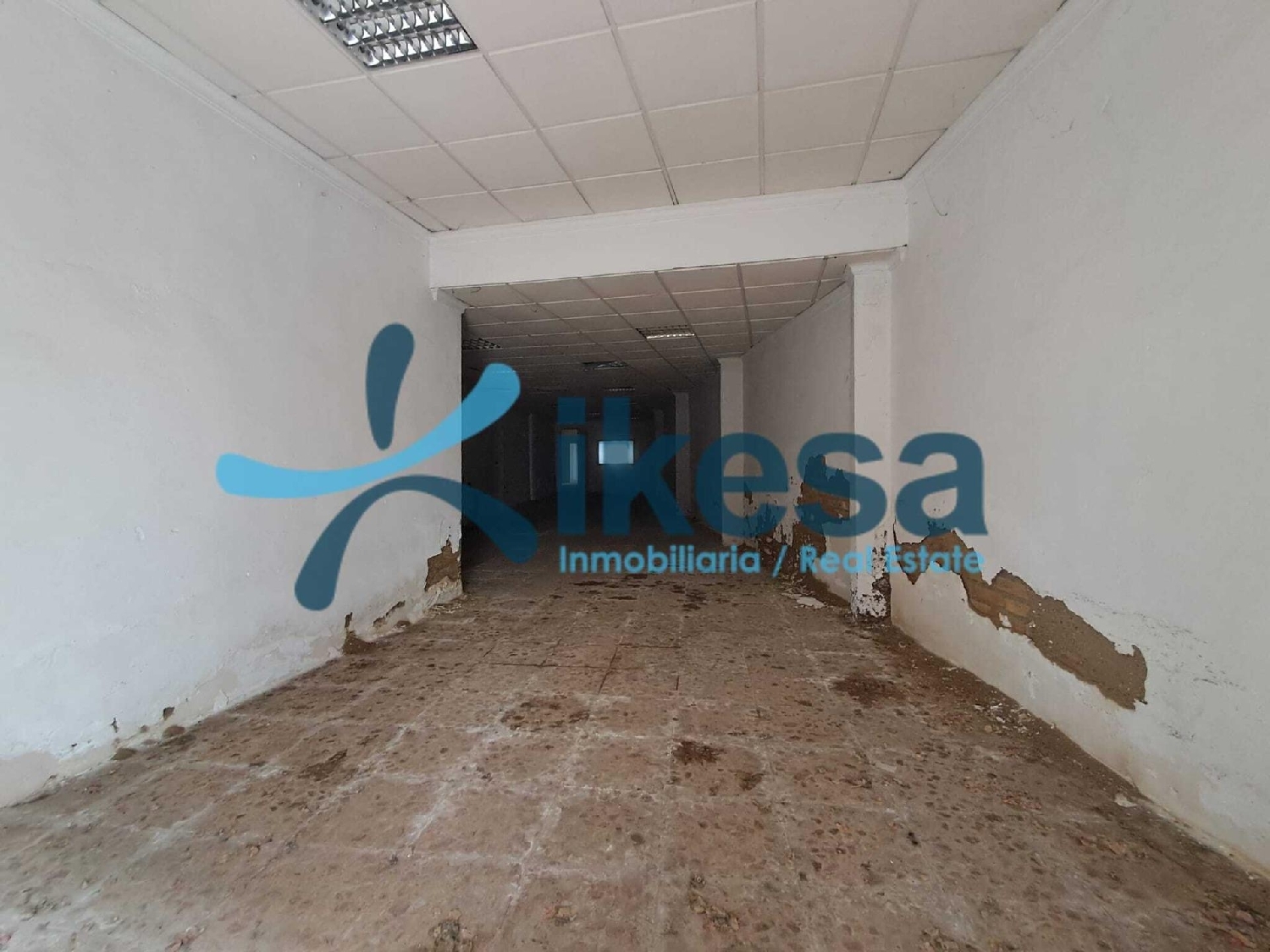  kaufen Haus Palma Del Rio Valle Medio Del Guadalquivir 4