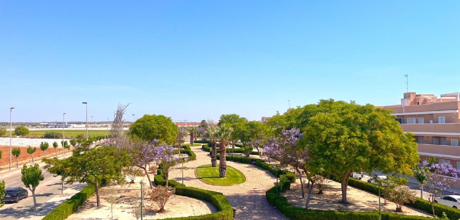  à vendre maison Pilar De La Horadada Baix Segura 3