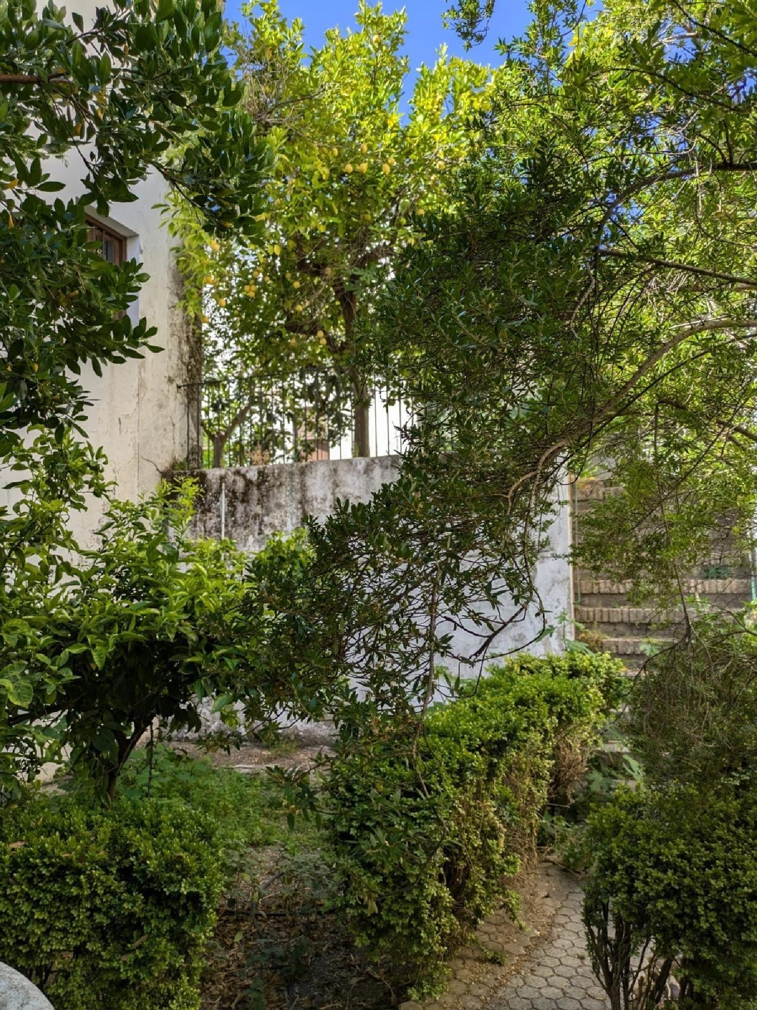  till salu hus Priego De Córdoba Subbética 6